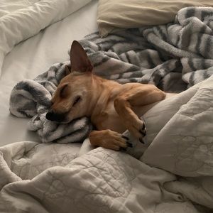 Meet your Posher, James